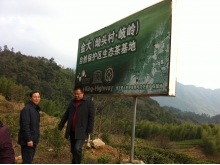 2012년 12월 무의산 차 재배단지 탐방